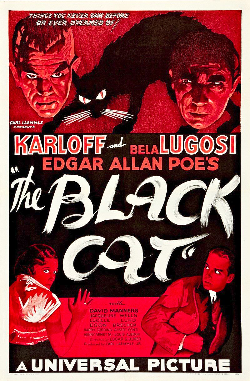 The Black Cat